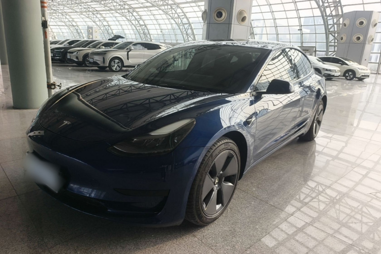 Tesla Model 3 2021 car image #2