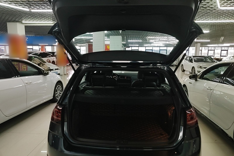 Volkswagen Golf 2020 car image #19