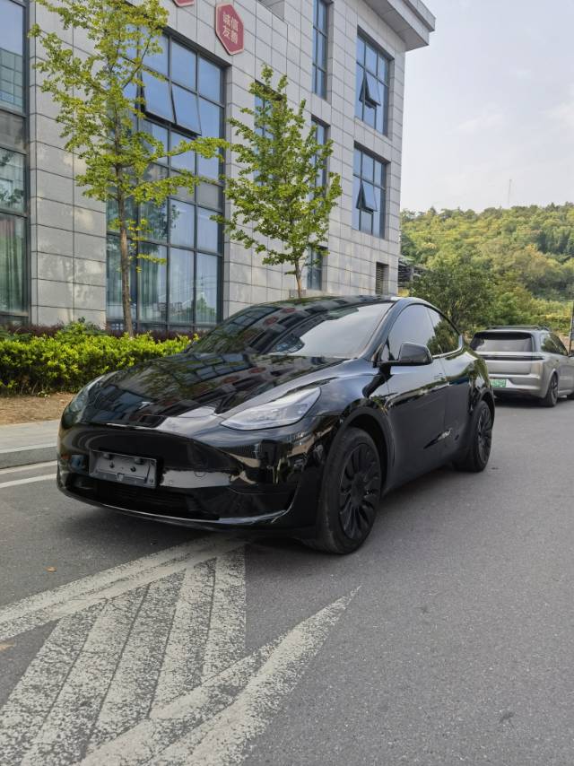 Tesla Model Y 2023 car image 