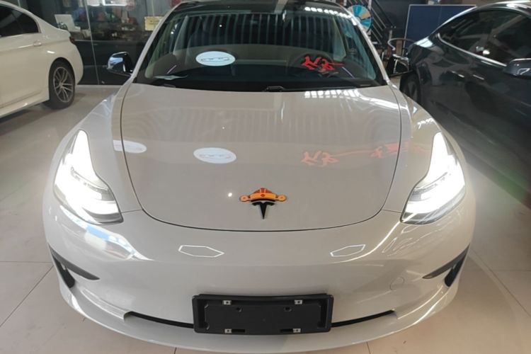 Tesla Model 3 2020 #3 Tesla Model 3 2020 car image #3