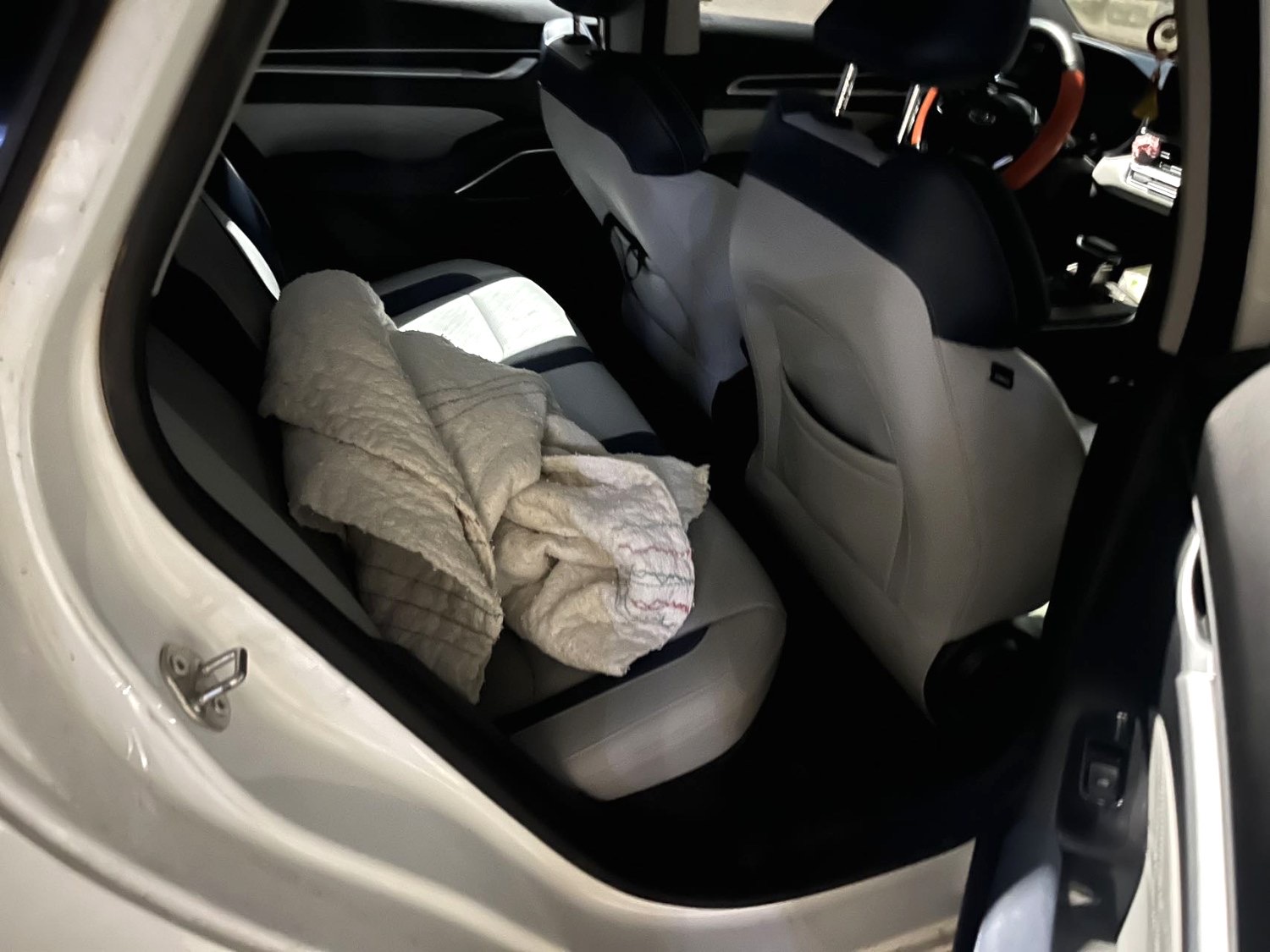 GEELY Emgrand 2021 #3 GEELY Emgrand 2021 immagine di auto #3