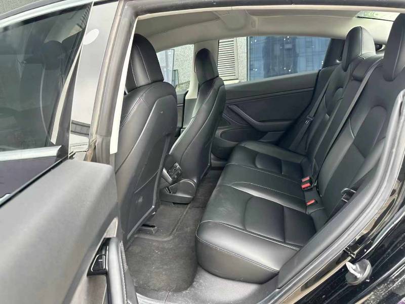 Tesla Model 3 2020 car image #5