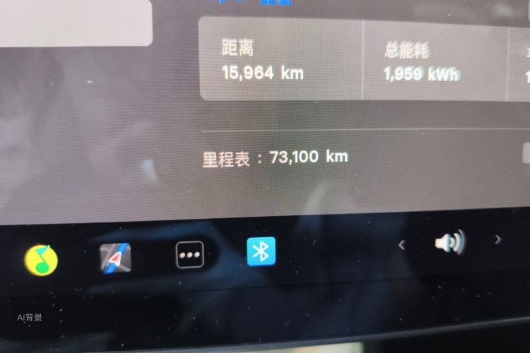 Tesla Model 3 2021 car image #14