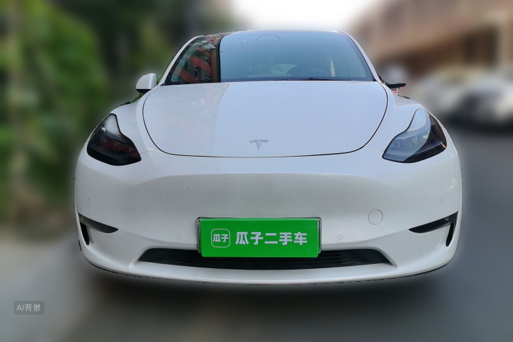 Tesla Model Y 2021 car image #3