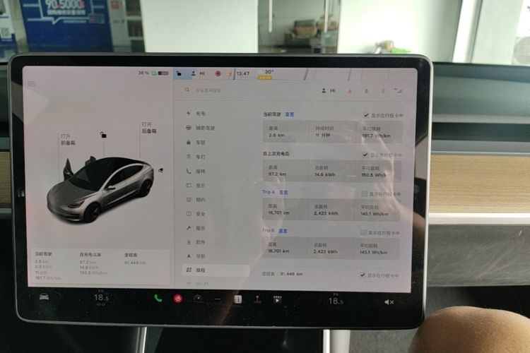 Tesla Model 3 2020 car image #12