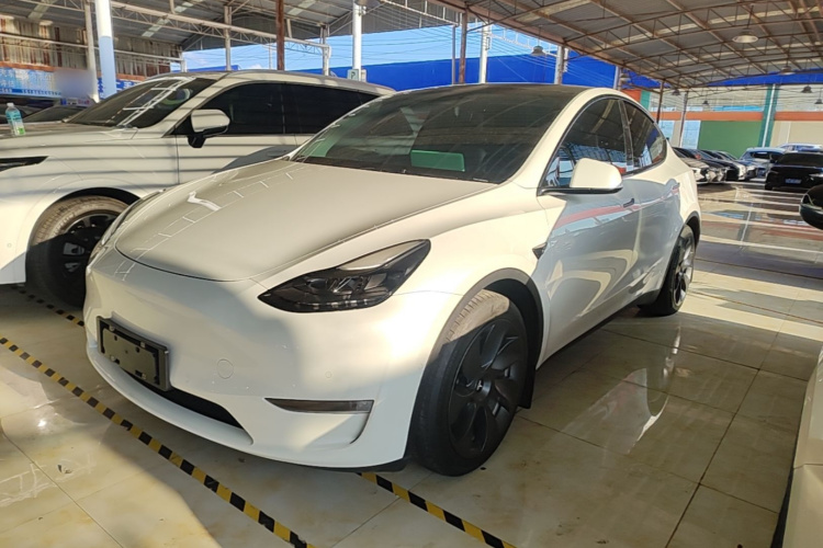Tesla Model Y 2021 car image #2