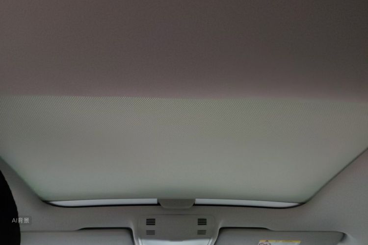 Volkswagen Polo 2020 car image #20