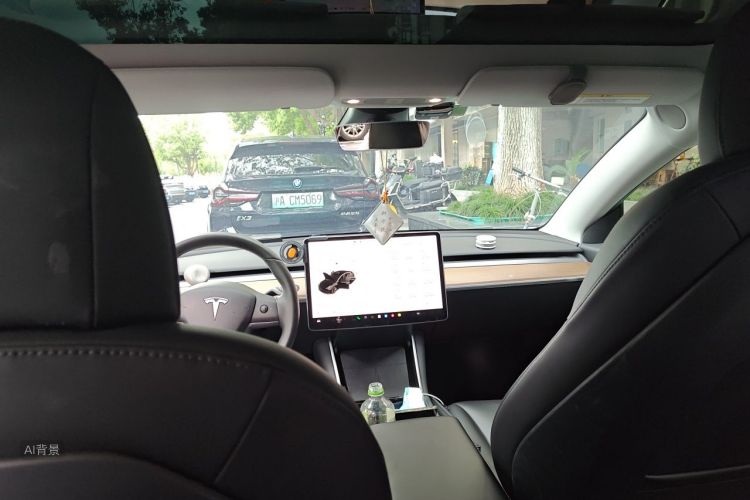Tesla Model 3 2020 car image #20