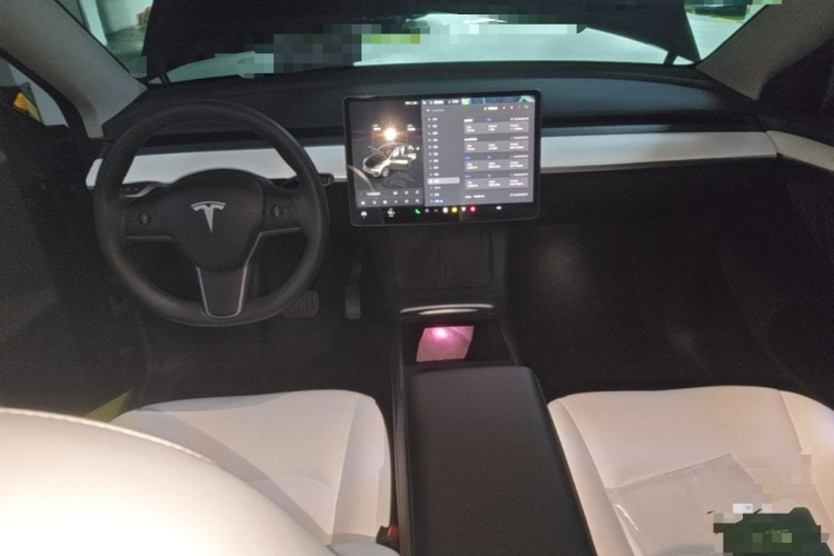 Tesla Model Y 2022 #10 Tesla Model Y 2022 car image #10