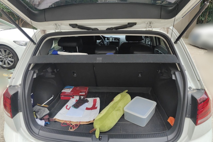 Volkswagen Golf 2019 car image #21