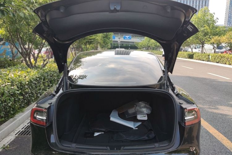 Tesla Model 3 2021 #19 Tesla Model 3 2021 car image #19