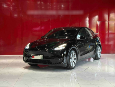 Tesla Model Y 2022 Tesla Model Y 2022 immagine di auto