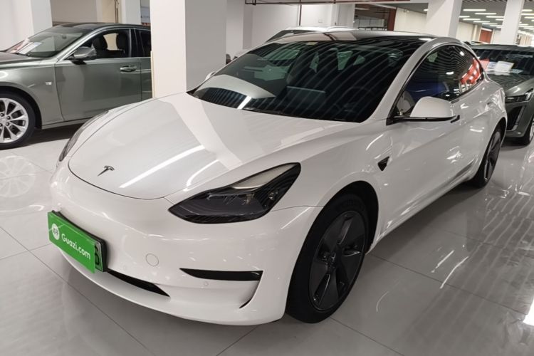 Tesla Model 3 2021 immagine di auto #2