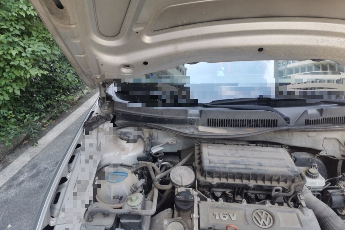 Volkswagen Bora 2014 car image #11