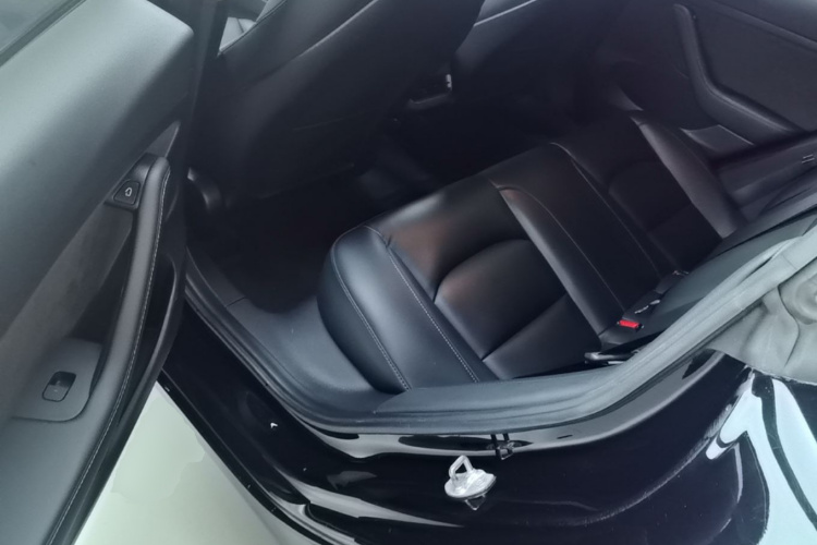 Tesla Model 3 2021 #17 Tesla Model 3 2021 car image #17