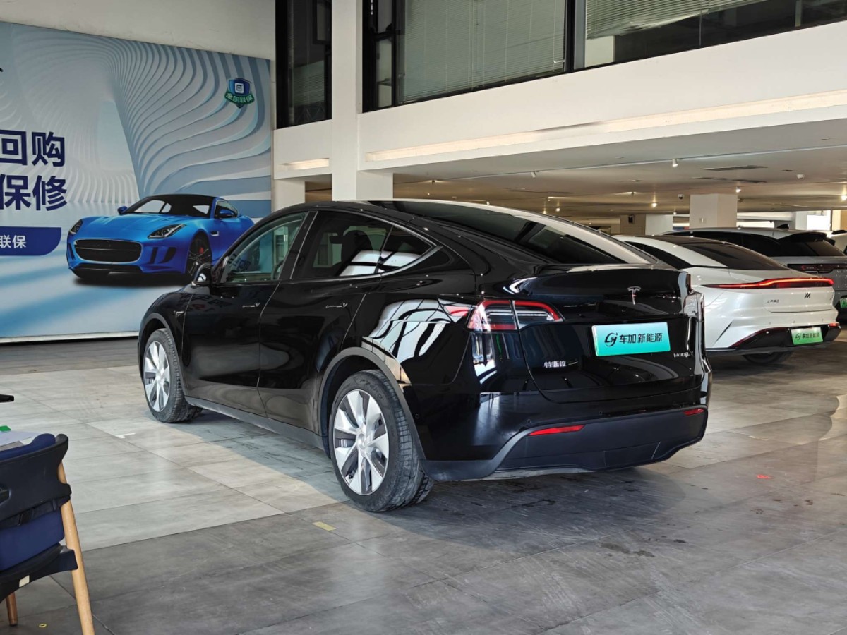 Tesla Model Y 2024 #5 Tesla Model Y 2024 car image #5