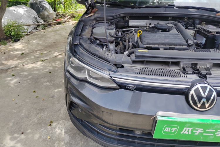 Volkswagen Golf 2021 car image #8