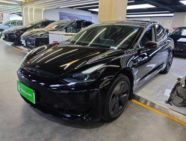 Tesla Model 3 2023 car image 