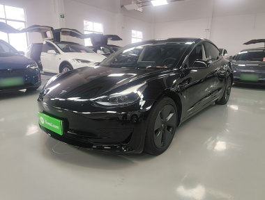 Tesla Model 3 2022 immagine di auto 