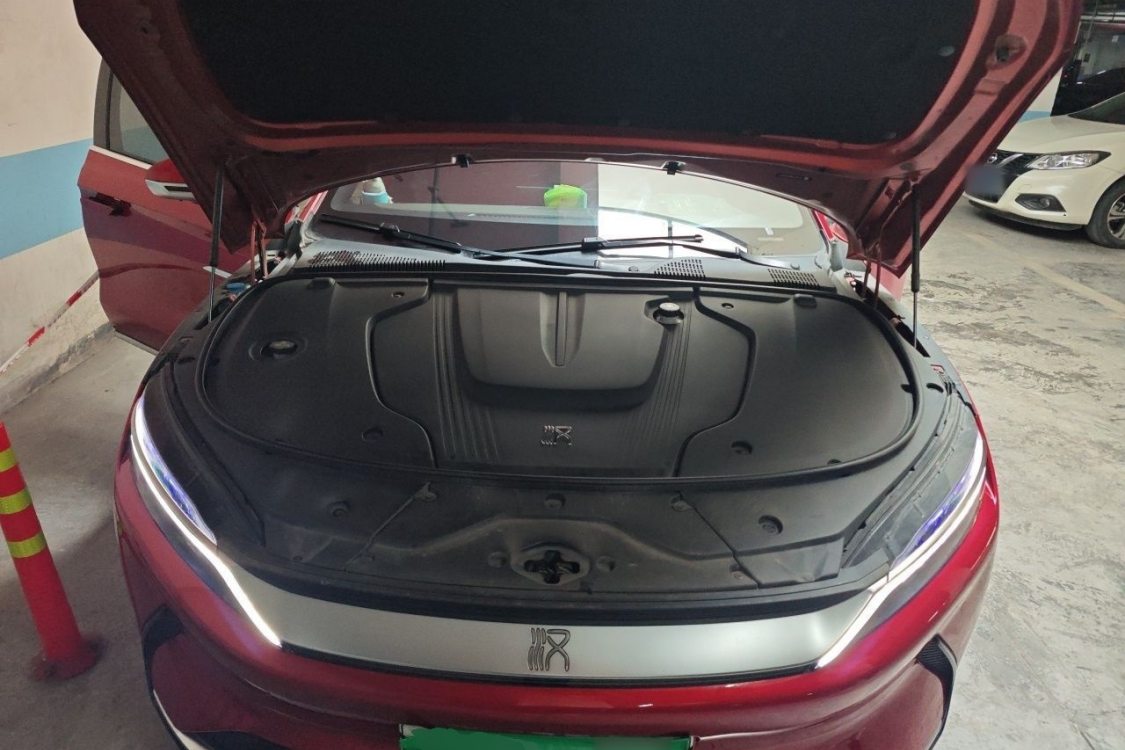 BYD Han 2021 صورة سيارة #10