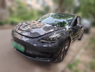 Tesla Model 3 2021 Tesla Model 3 2021 car image