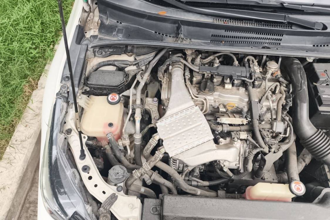 Toyota Corolla 2020 car image #11