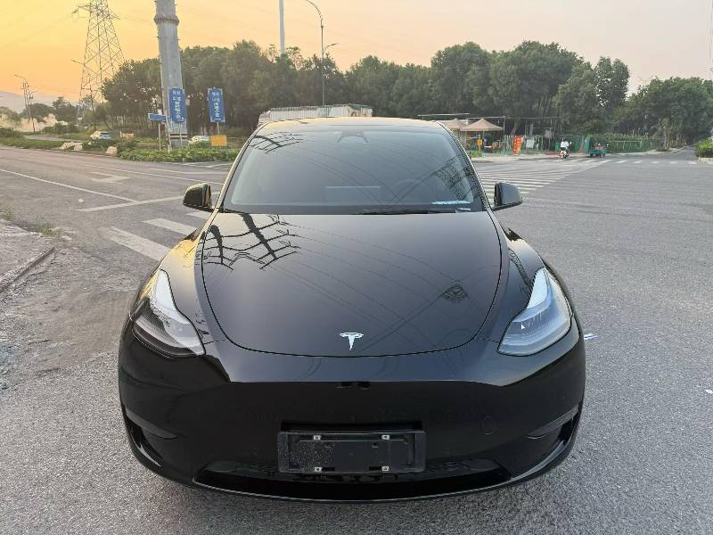 Tesla Model Y 2021 Tesla Model Y 2021 car image