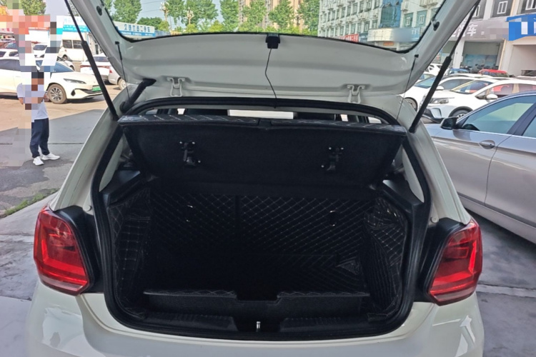 Volkswagen Polo 2015 car image #19