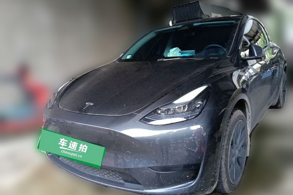 Tesla Model Y 2024 Tesla Model Y 2024 car image
