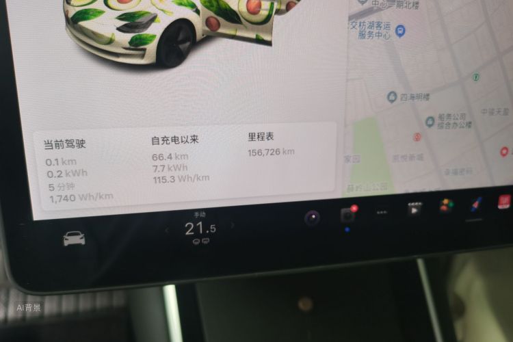 Tesla Model 3 2020 car image #14