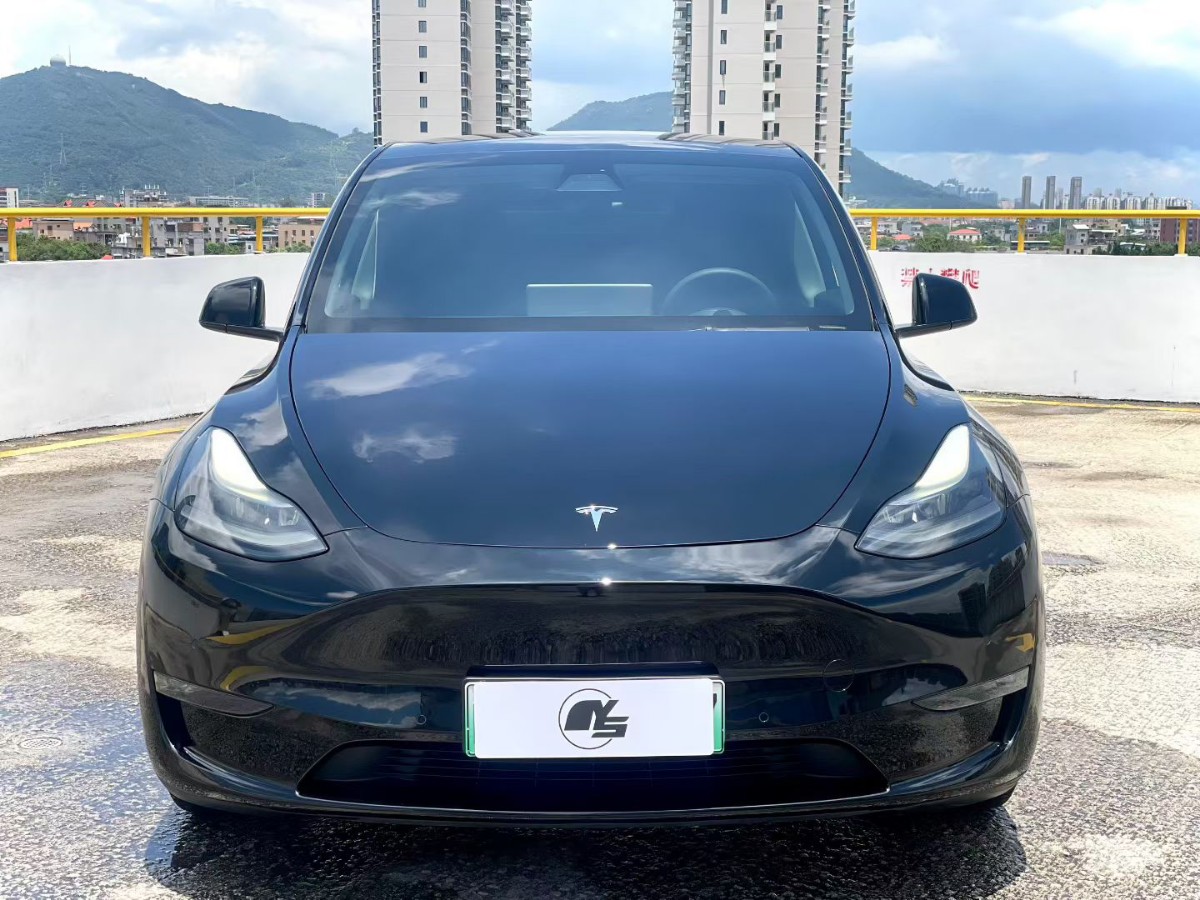 Tesla Model Y 2021 #2 Tesla Model Y 2021 car image #2