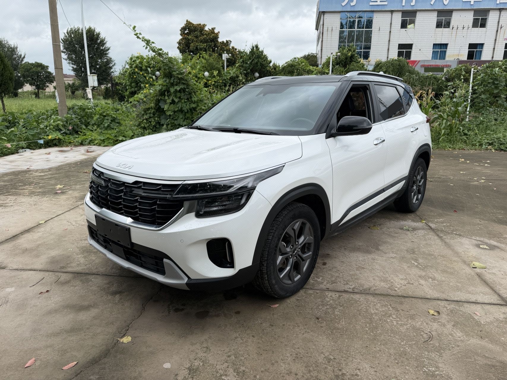 Kia Seltos 2023 car image 