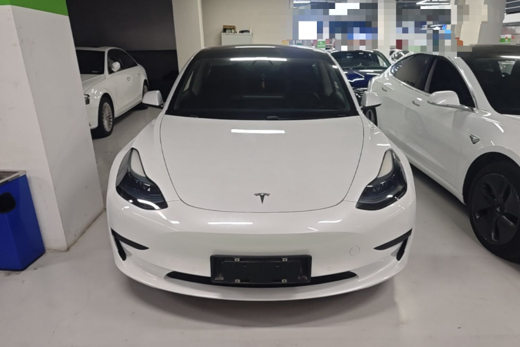 Tesla Model 3 2021 #3 Tesla Model 3 2021 car image #3