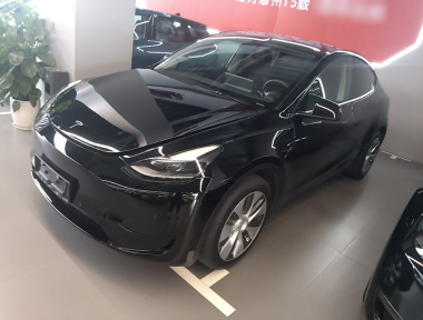 Tesla Model Y 2022 Tesla Model Y 2022 car image