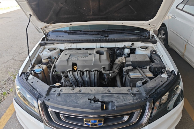 GEELY Emgrand 2018 car image #20