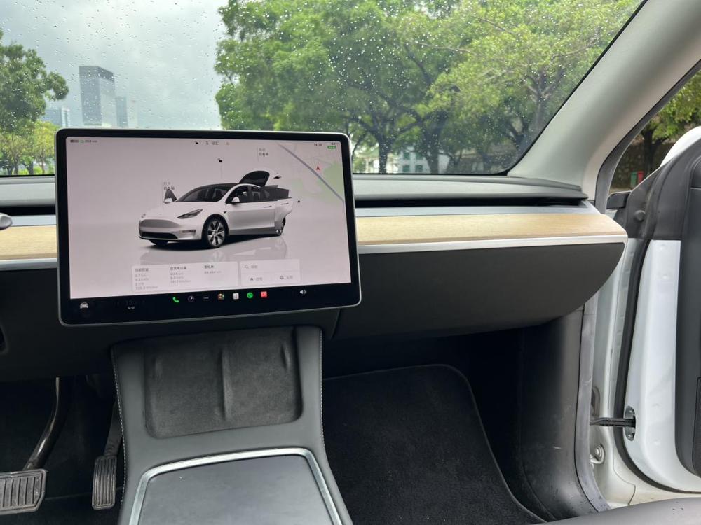 Tesla Model Y 2023 car image #9