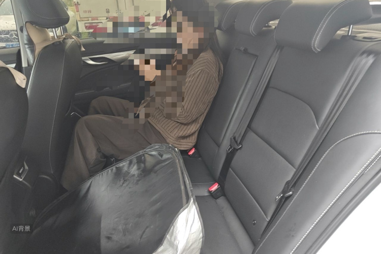 GEELY Emgrand 2019 car image #19