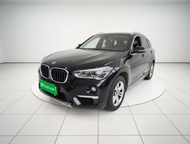 BMW X1 New Energy 2019 car image 