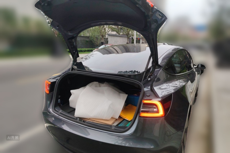 Tesla Model 3 2022 immagine di auto #21
