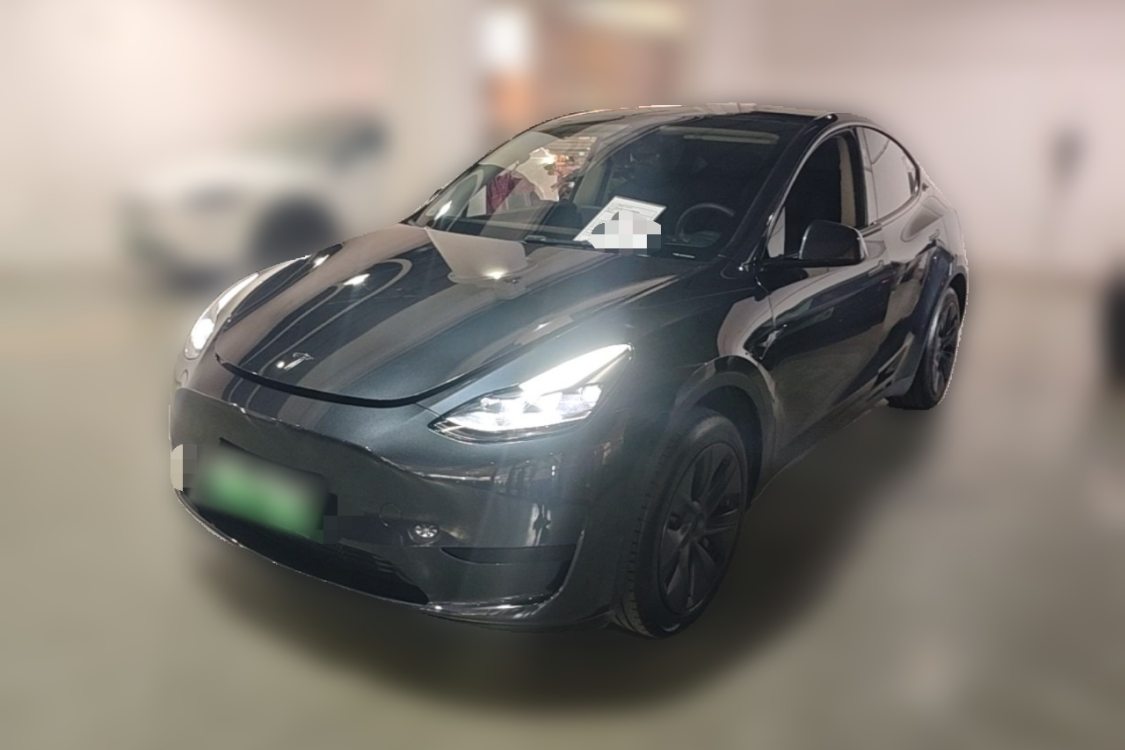 Tesla Model Y 2024 Tesla Model Y 2024 car image