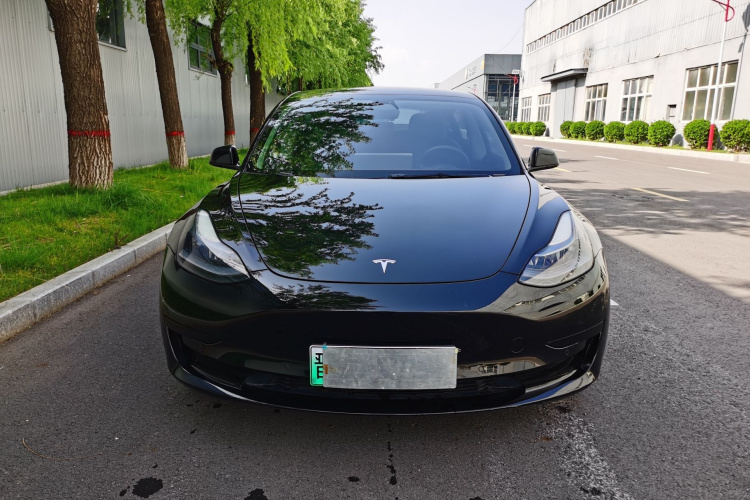 Tesla Model 3 2021 car image #3