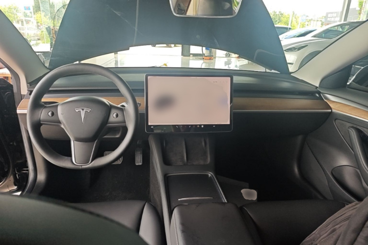 Tesla Model 3 2021 #10 Tesla Model 3 2021 car image #10