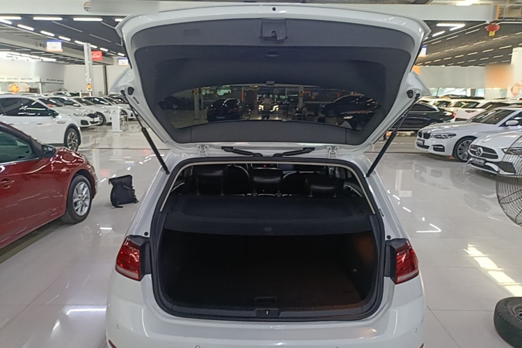 Volkswagen Golf 2019 #19 Volkswagen Golf 2019 car image #19
