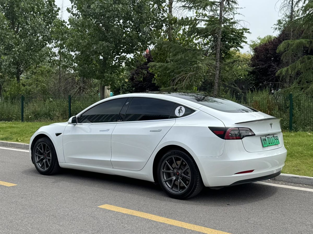 Tesla Model 3 2020 #3 Tesla Model 3 2020 car image #3