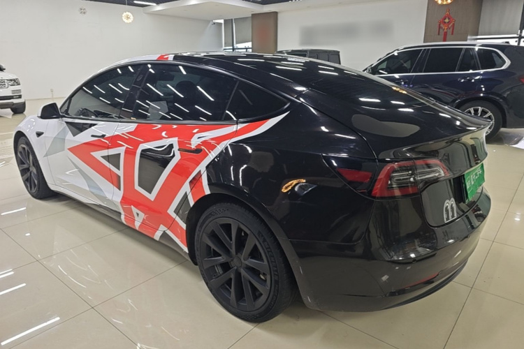 Tesla Model 3 2021 #5 Tesla Model 3 2021 car image #5