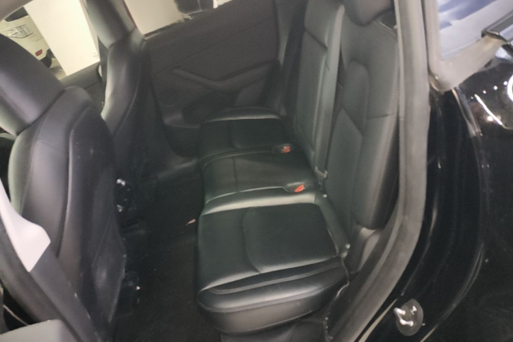 Tesla Model Y 2023 #17 Tesla Model Y 2023 car image #17