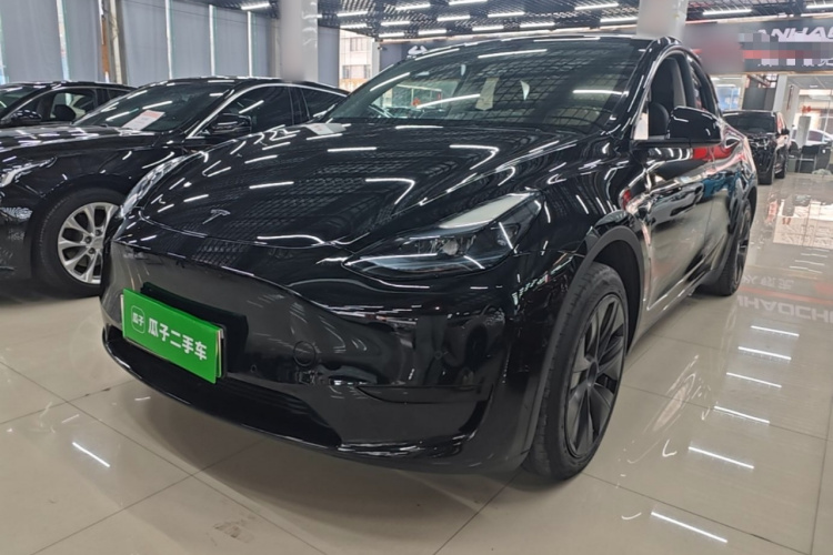 Tesla Model Y 2023 immagine di auto #2
