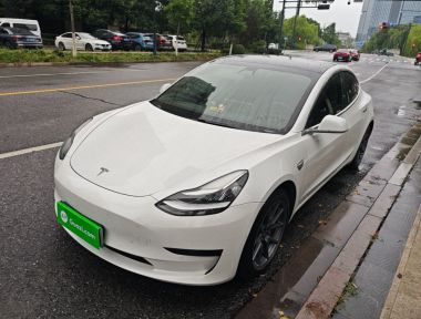 Tesla Model 3 2020 Tesla Model 3 2020 car image