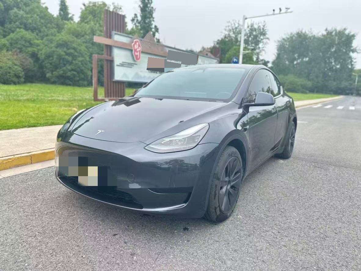 Tesla Model Y 2024 car image 