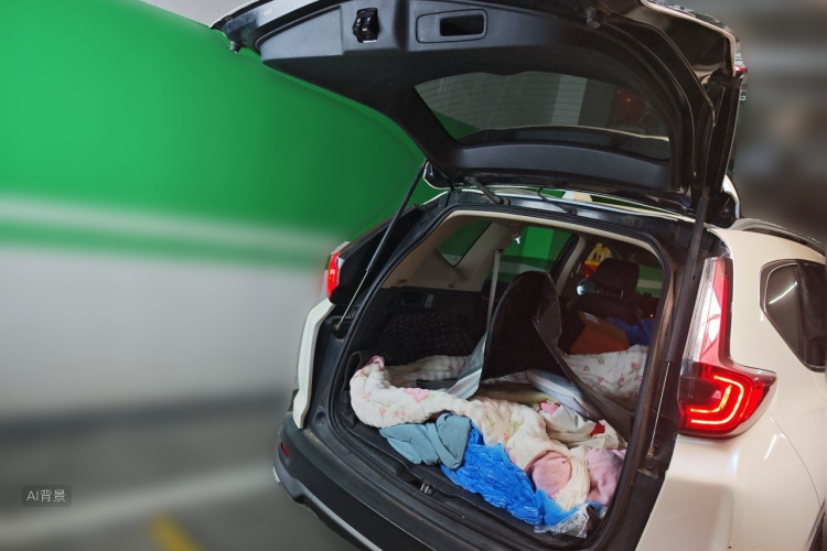 Honda CR-V 2021 car image #21